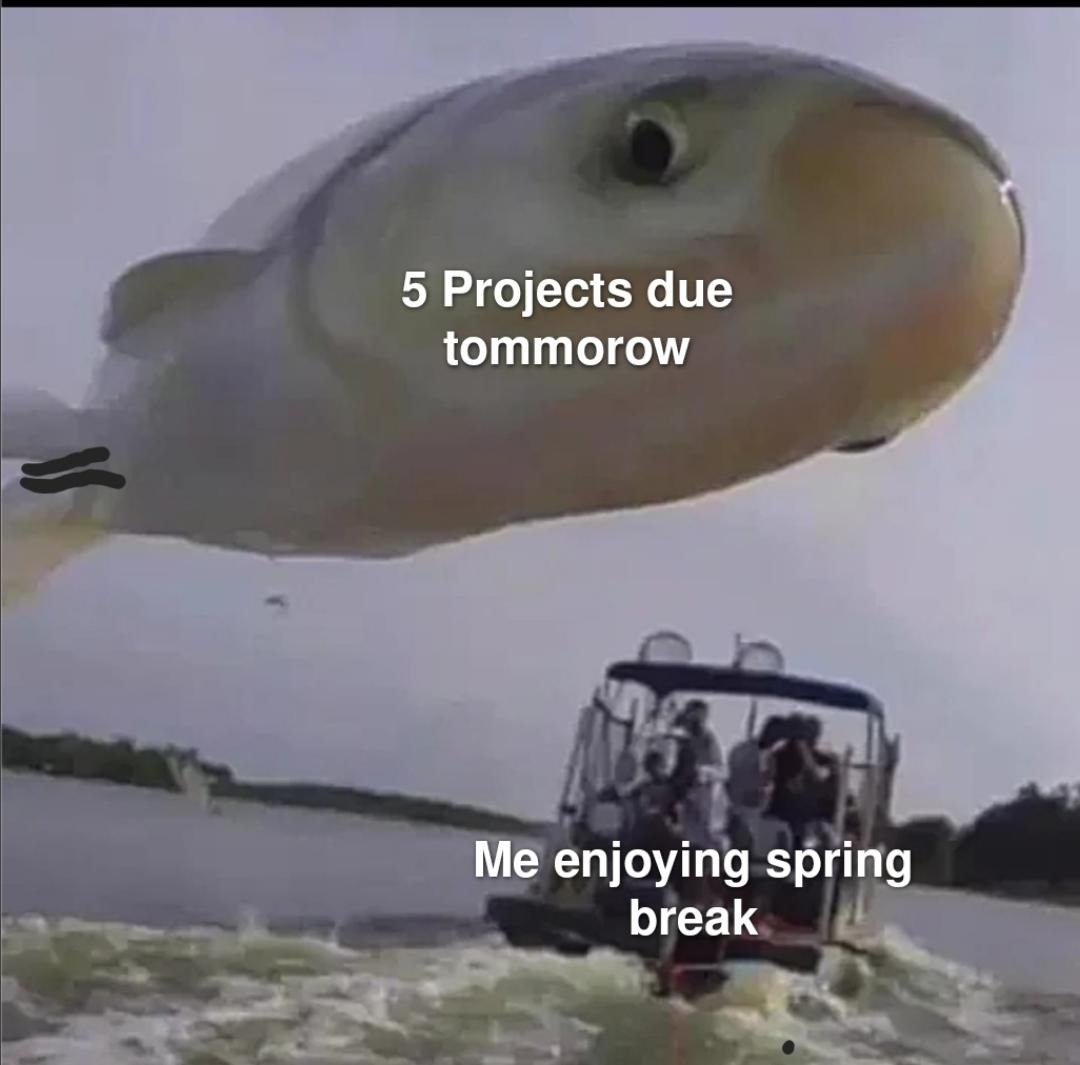 spring break projects meme
