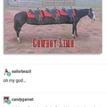 cowboy limo