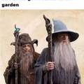 Gandalf and Ratagast
