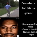 deers be like