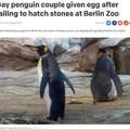 Gay penguins are so wholesome