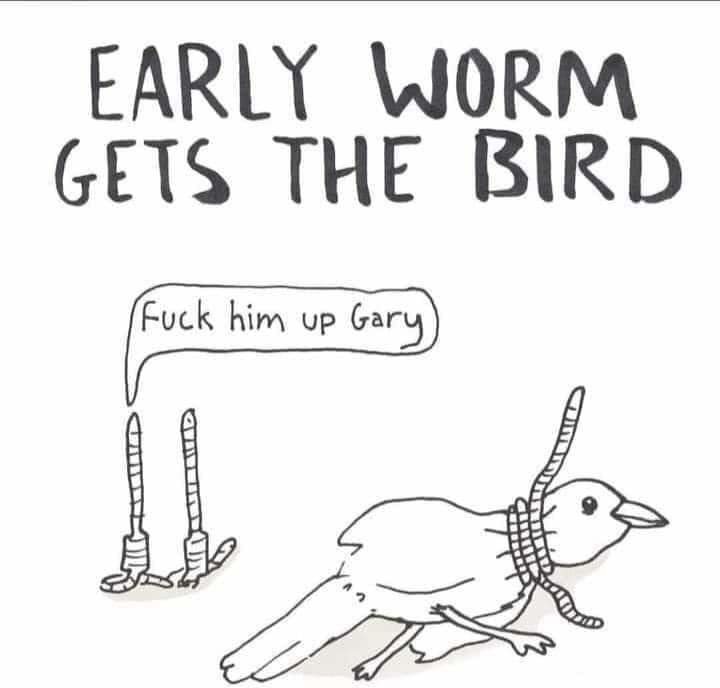 Early worm - meme
