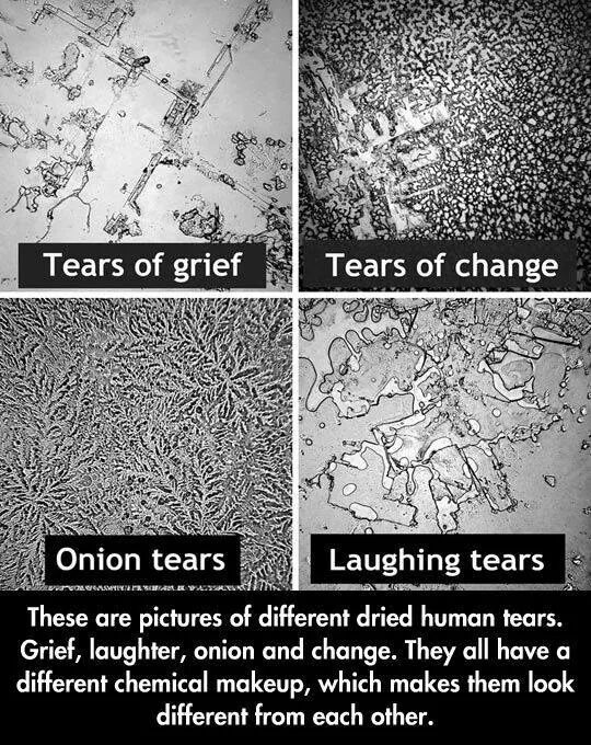 Thought this was interesting - meme