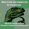 Philosoraptor "four leaf clovers"