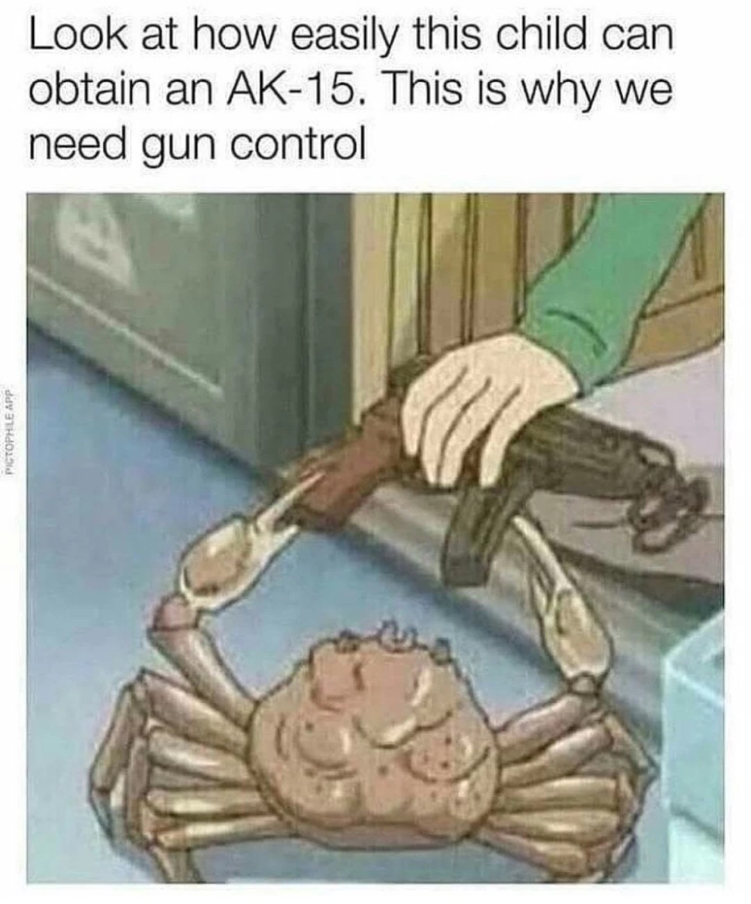 Stupid gun laws - meme