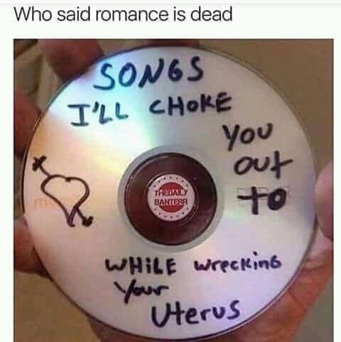Ah yes, Hardcore romance - meme