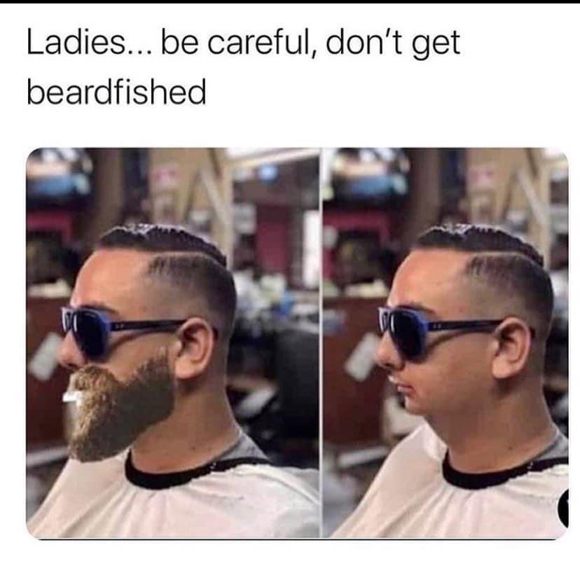 Bearded men are better no homo - meme