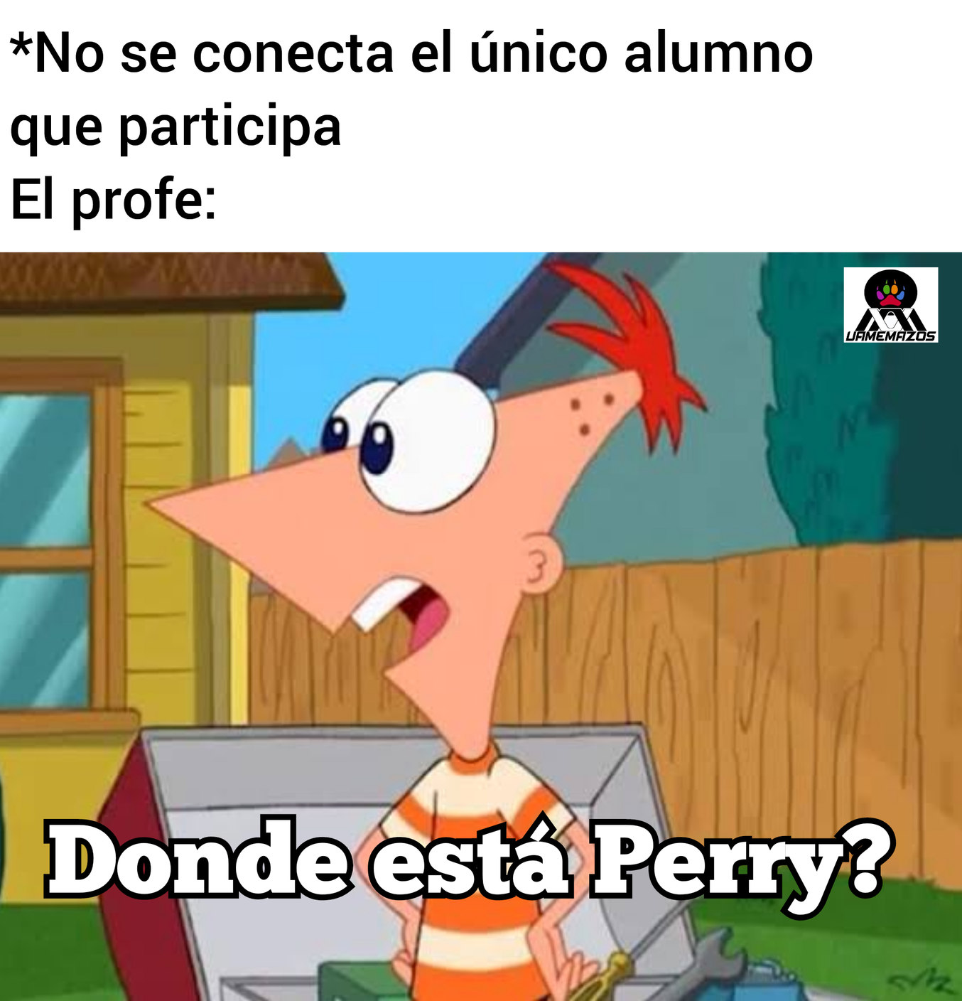 Donde está Perry? - meme