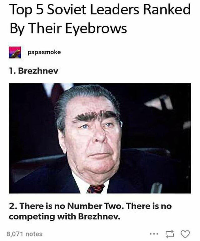 Top 5 Soviet leaders ranked by their eyebrows. Number one: Brezhnev - meme