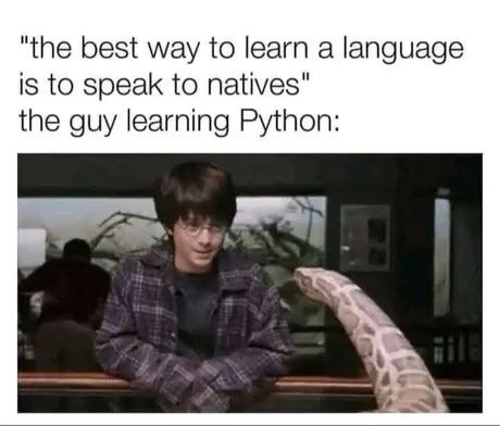 learning python - meme