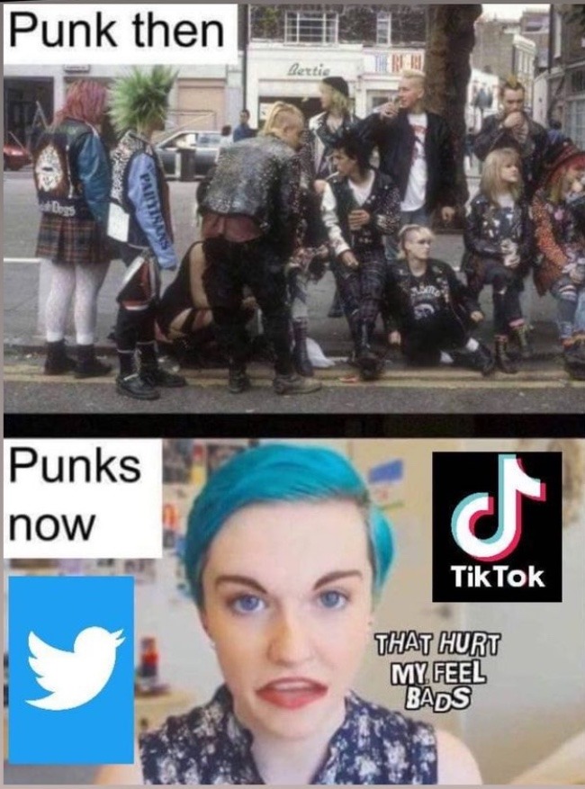 Punk is absolutely dead - meme