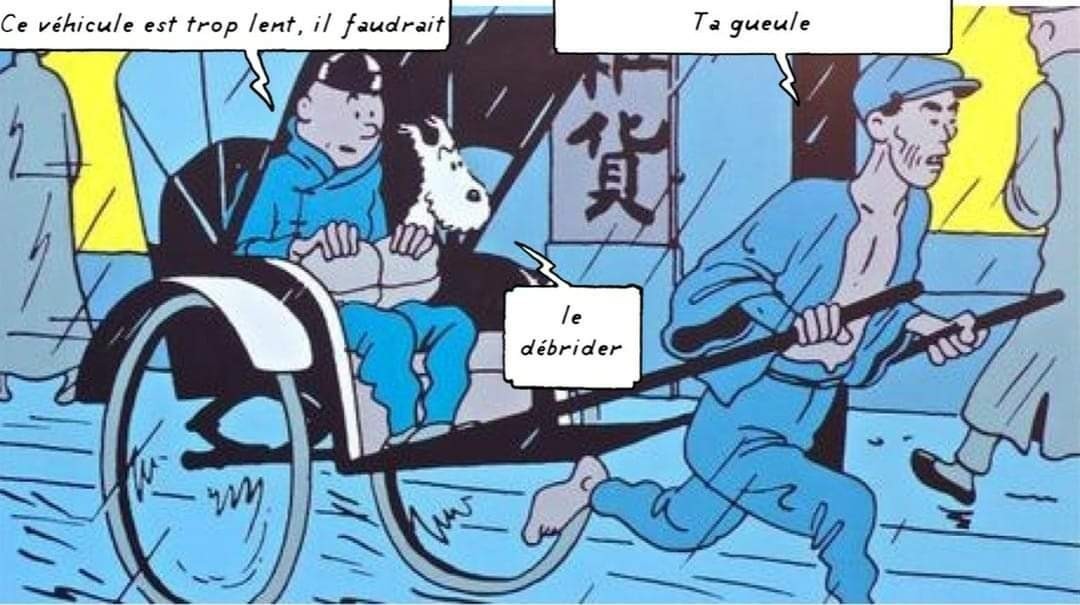 Tintin - meme