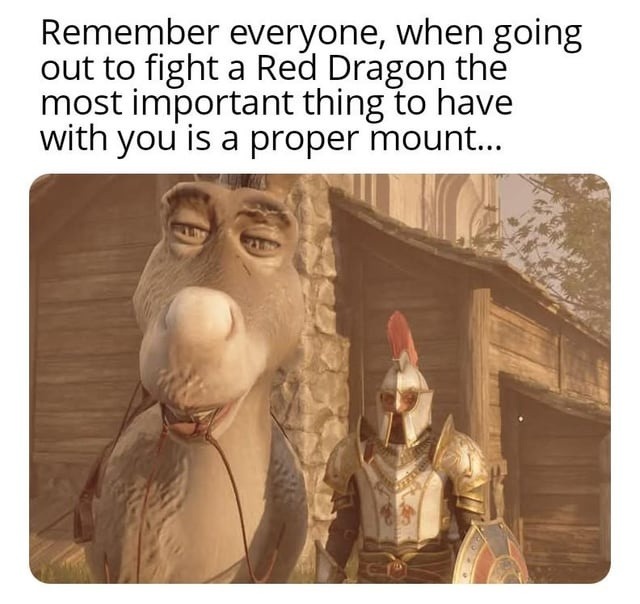 Fighting dragons 101: never forget your ride - meme