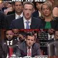What Ted sees vs what Zuckerberg sees