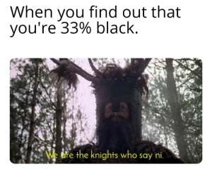 0% black (thank god) but still say it ( ͡° ͜ʖ ͡°)™ - meme
