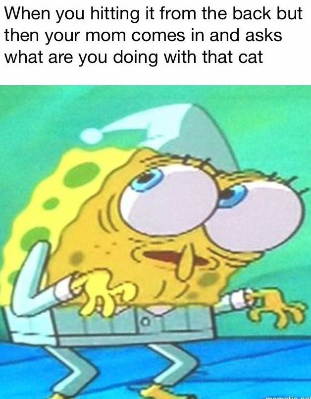 Poor kitty - meme