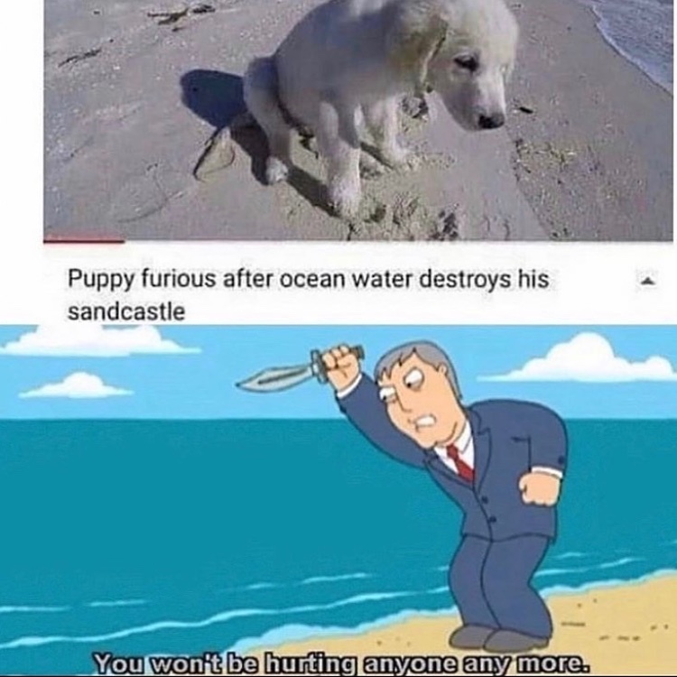 how does a puppy make a sand castle? - meme
