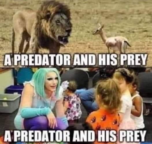 predator - meme
