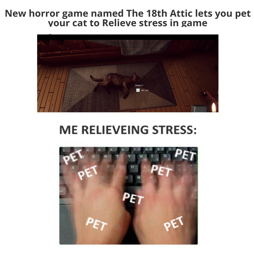 Who's going to pet the cat? - meme