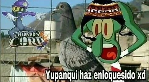 Yo soy Yupanqui - meme
