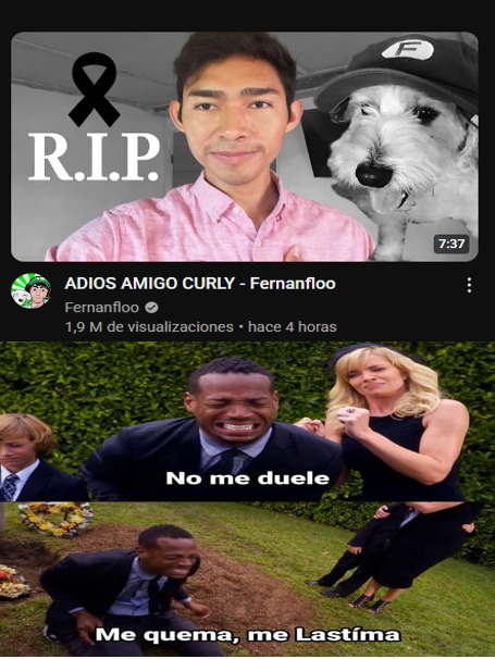 f - meme