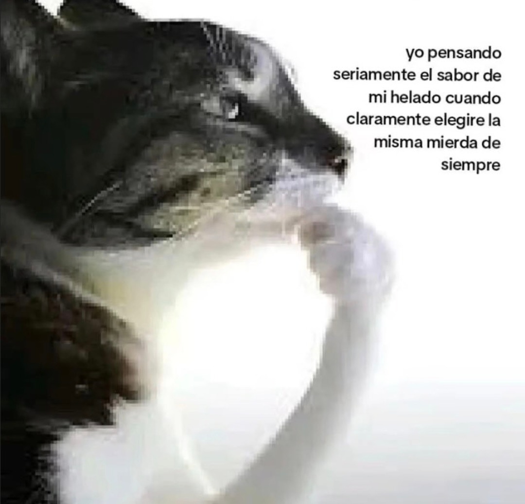 Siempre pienso qué sabor pedir y acabo con el mismo helado triste de siempre - meme