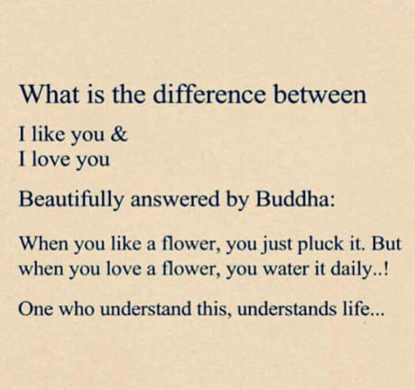 Liking vs loving by Buddha - meme