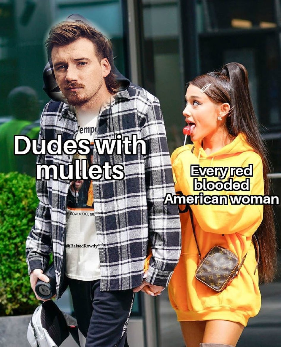 Mullets - meme