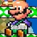 Luigi pelon