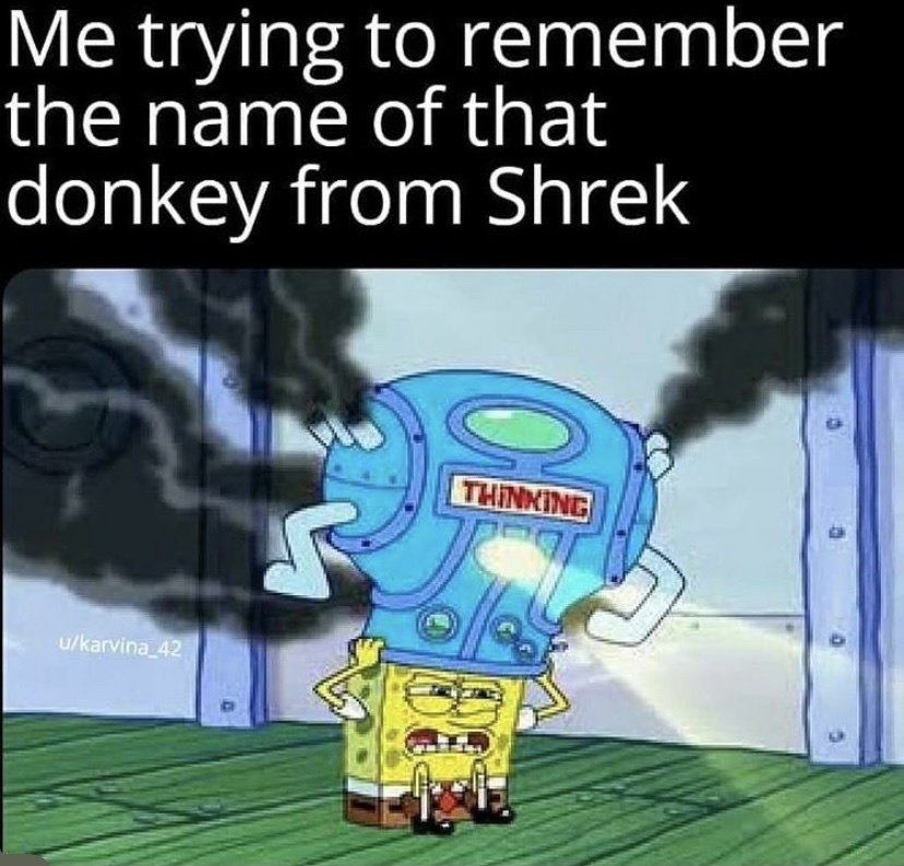 Donkey? - meme