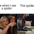 Poor spider