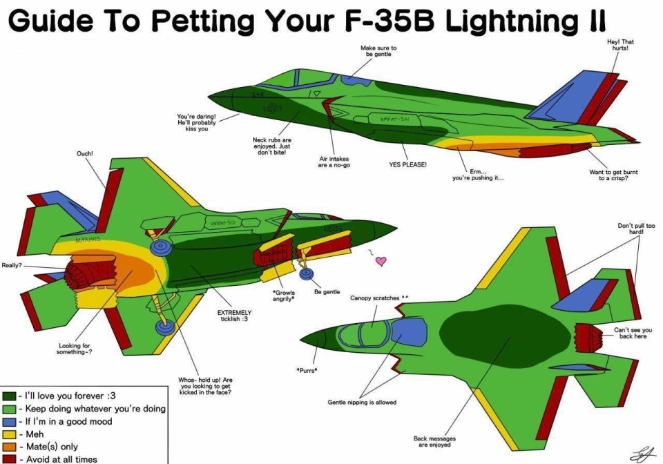 F-35b - meme