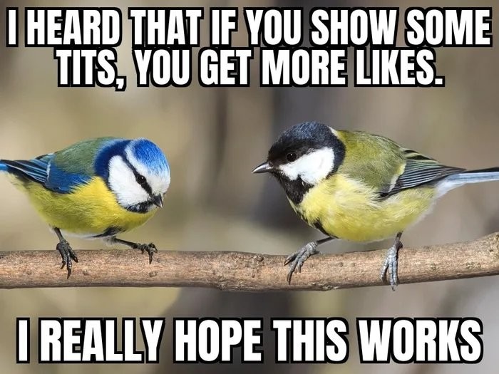 the-latest-memes-memedroid