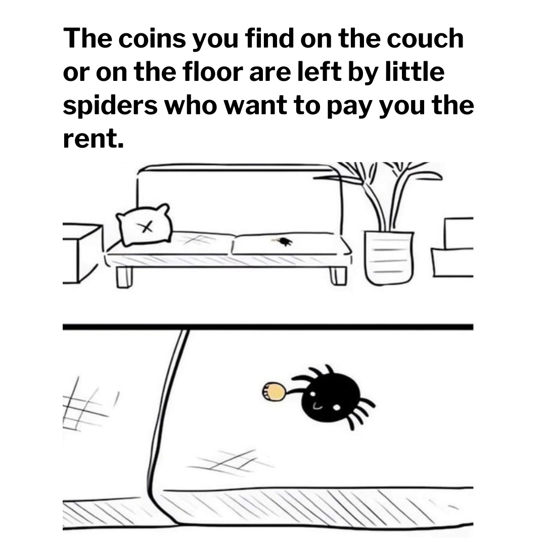 Spider meme