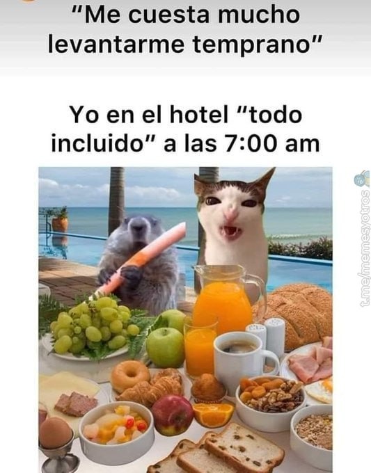 El buffet libre se respeta - meme