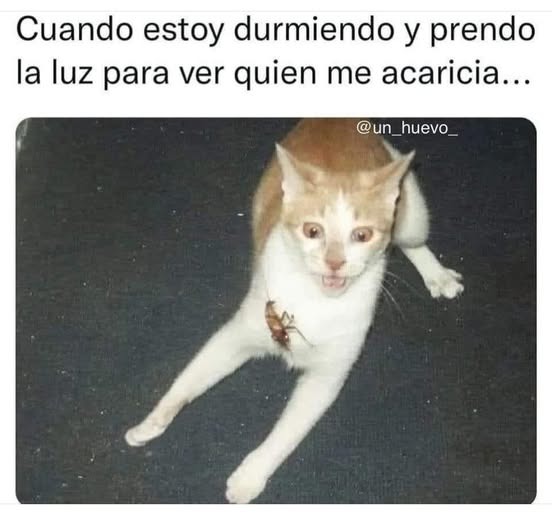 Aea - meme