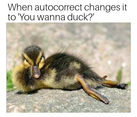 What the duck? - meme