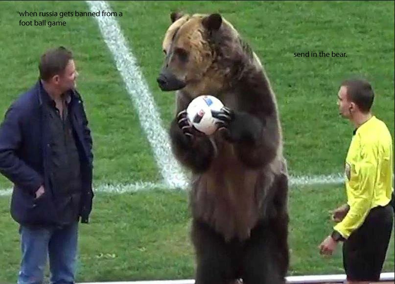 The Bear is here - meme