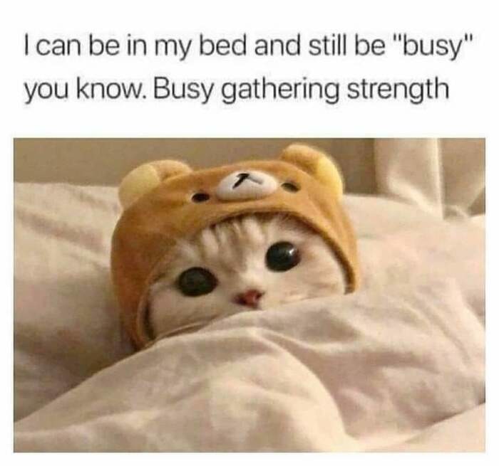 I'm busy ... - meme
