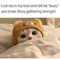 I'm busy ...