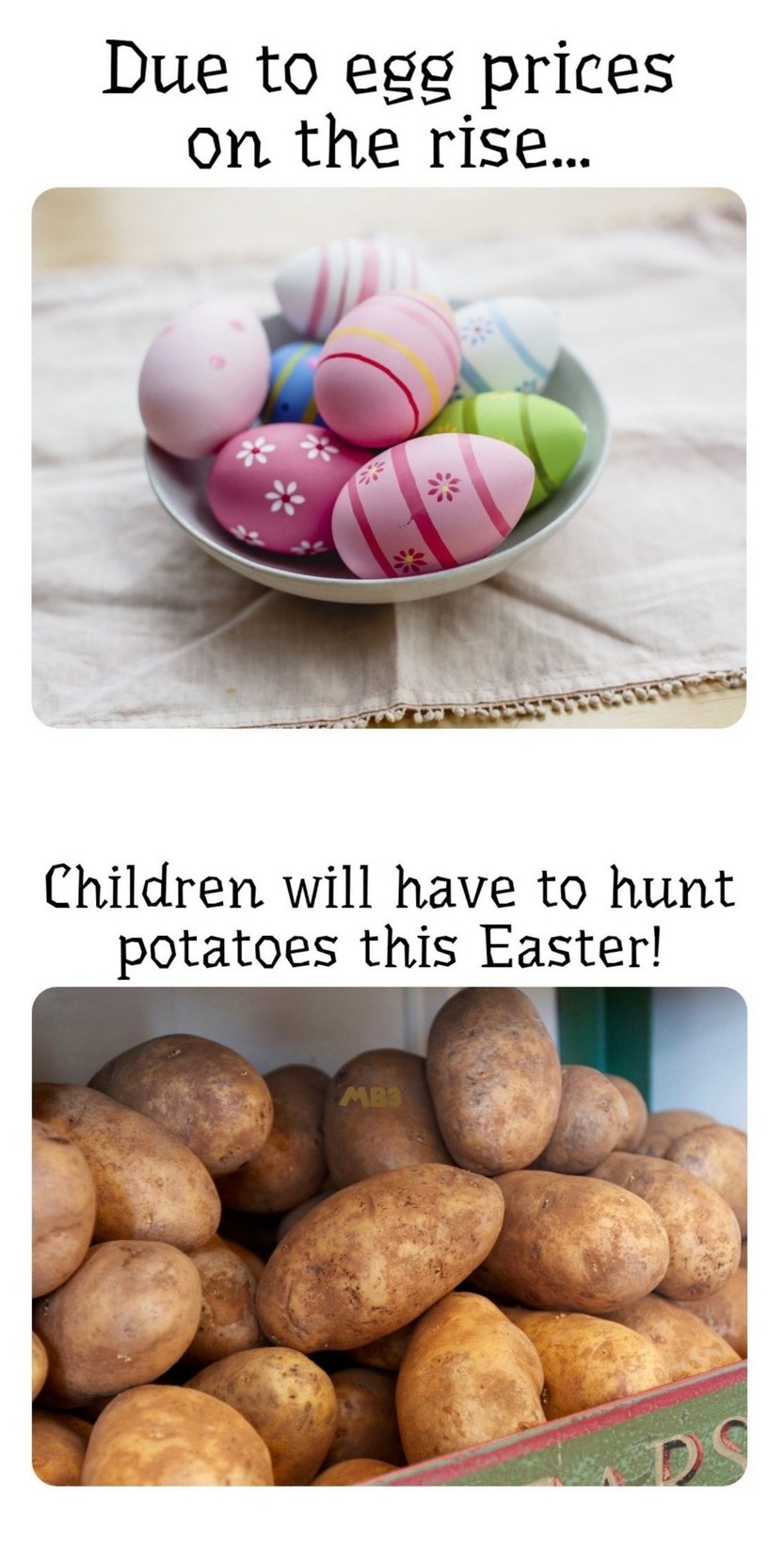 Egg Prices High Meme By Moviefan7983 Memedroid