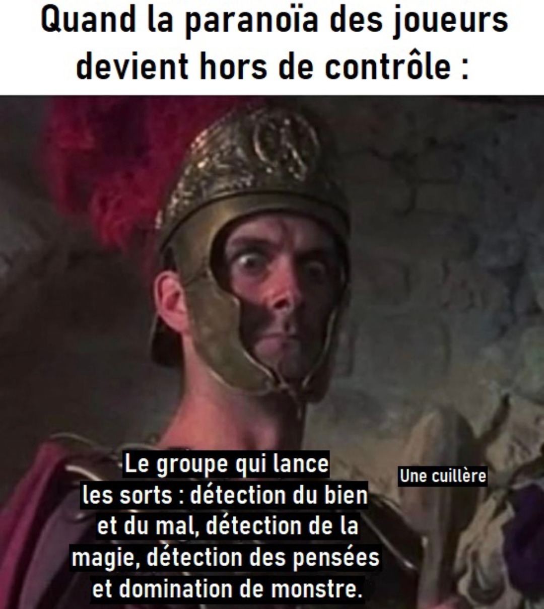 Quand la parano atteint niveau donjon master - meme