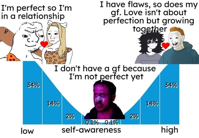 I don’t have a gf cause I’m not perfect yet, apparently - meme