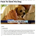 Poor doggo
