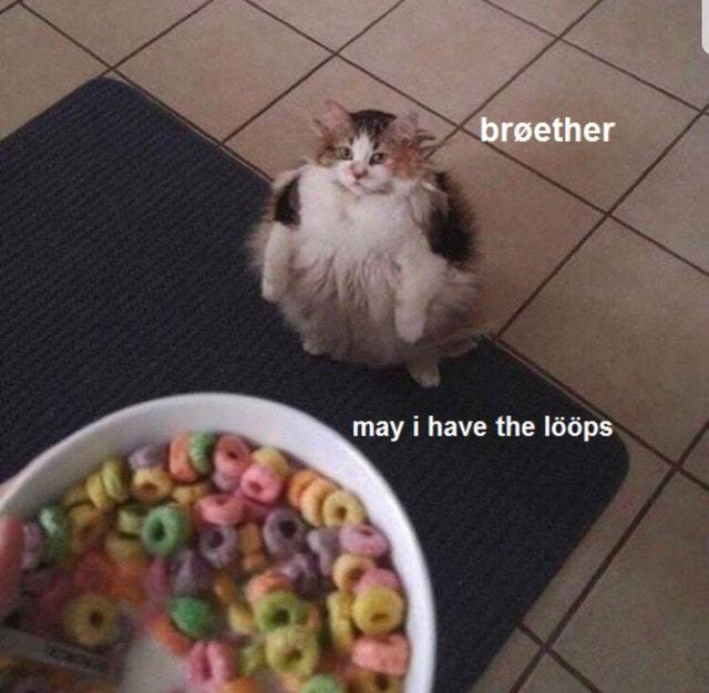 Loops - meme