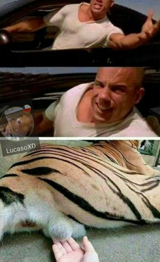 Bolas de tigre - meme