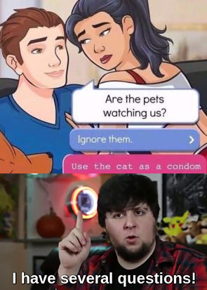Are the pets watching us? - meme
