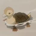 heres a turtle duck to make ur day better