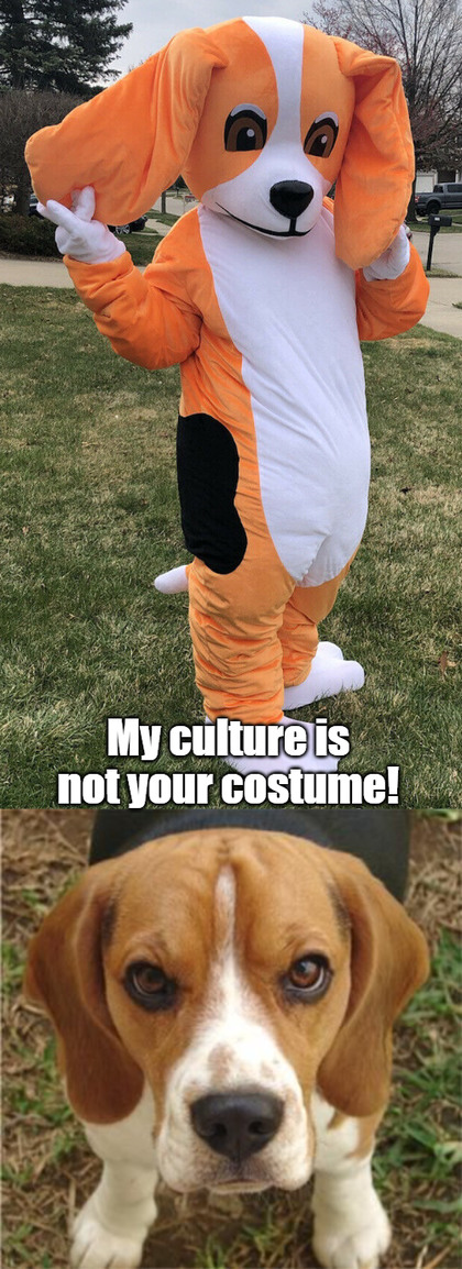 Cultural appropriation - meme