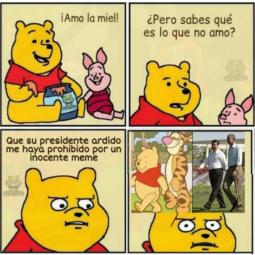 Pobre oso - meme